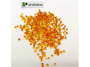 Silica Gel